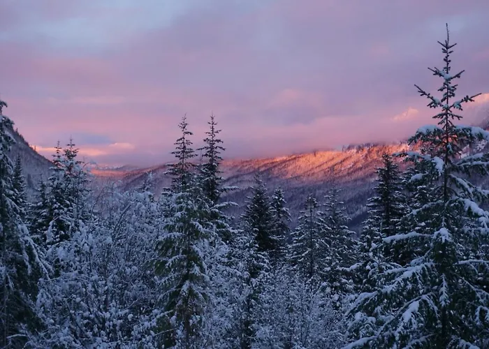 Hot Tub Cool Views: Roaring Creek Cabin