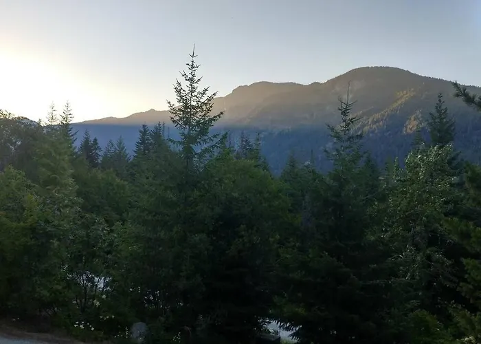 Hot Tub Cool Views: Roaring Creek Cabin