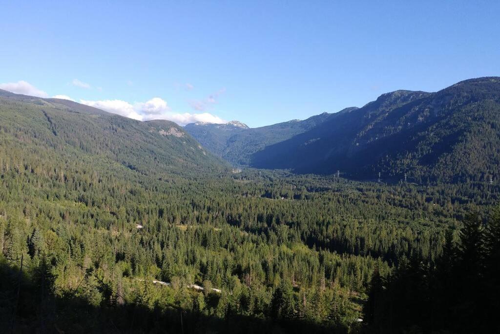 Chalet Hot Tub Cool Views: Roaring Creek